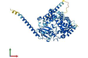 Protein Structure (PS) image for Cytochrome P450, Family 4, Subfamily X, Polypeptide 1 (CYP4X1) (AA 1-509) protein (His tag) (ABIN7546658)