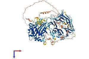 AlphaFold protein structure predicition of Human Recombinant MAP4K5 Protein, UniprotID Q9Y4K4 (MAP4K5 Protein (AA 1-846) (His tag))