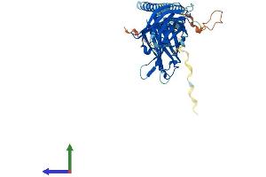 AlphaFold protein structure predicition of Human Recombinant SYT5 Protein, UniprotID O00445 (Synaptotagmin V Protein (SYT5) (AA 1-386) (His tag))