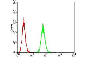 Flow cytometric analysis of Hela cells using P2RY8 mouse mAb (green) and negative control (red). (P2RY8 antibody)