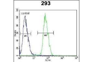PLA2G1B Antibody (C-term) (ABIN651072 and ABIN2840059) flow cytometric analysis of 293 cells (right histogram) compared to a negative control cell (left histogram). (PLA2G1B antibody  (C-Term))