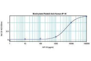 Image no. 2 for anti-Chemokine (C-X-C Motif) Ligand 10 (CXCL10) antibody (Biotin) (ABIN465473) (CXCL10 antibody  (Biotin))