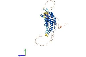 Protein Structure (PS) image for Neuropeptide FF Receptor 2 (NPFF2) (AA 1-522) protein (His tag) (ABIN7549953)