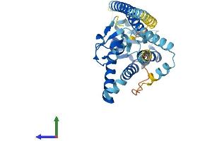 AlphaFold protein structure predicition of Mouse Recombinant Pex10 Protein, UniprotID B1AUE5