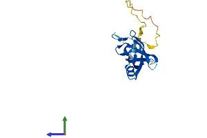 AlphaFold protein structure predicition of Human Recombinant CSDC2 Protein, UniprotID Q9Y534