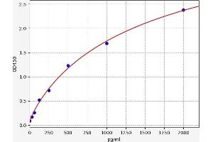 Typical standard curve (SALL4 ELISA Kit)