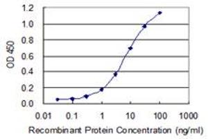 Detection limit for recombinant GST tagged ZDHHC8 is 0. (ZDHHC8 antibody  (AA 1-42))
