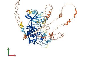 AlphaFold protein structure predicition of Mouse Recombinant Mapk4 Protein, UniprotID Q6P5G0