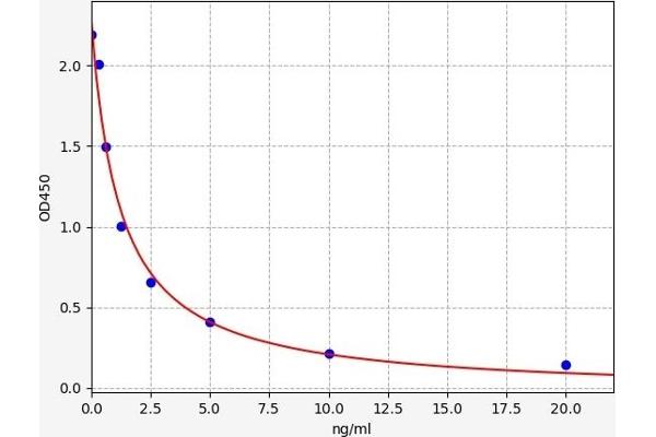 LMX1B ELISA Kit