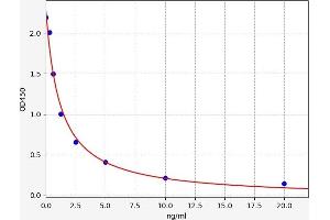 Typical standard curve (LMX1B ELISA Kit)