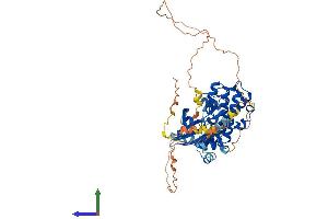 AlphaFold protein structure predicition of Mouse Recombinant Gm7168 Protein, UniprotID A0AUV4 (Gm7168 Protein (AA 1-508) (His tag))