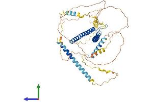 AlphaFold protein structure predicition of Mouse Recombinant Tfeb Protein, UniprotID Q9R210 (TFEB Protein (AA 1-475) (His tag))