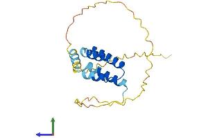 AlphaFold protein structure predicition of Human Recombinant CT45A5 Protein, UniprotID P0DMU8 (CT45A5 Protein (AA 1-189) (His tag))