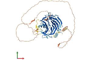 AlphaFold protein structure predicition of Mouse Recombinant Dcaf10 Protein, UniprotID A2AKB9