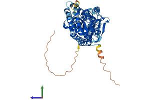 AlphaFold protein structure predicition of Human Recombinant PIGA Protein, UniprotID P37287 (PIGA Protein (AA 1-484) (His tag))