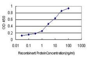 Detection limit for recombinant GST tagged HSPB7 is approximately 0. (HSPB7 antibody  (AA 1-170))
