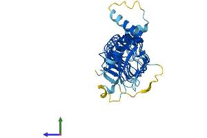 AlphaFold protein structure predicition of Human Recombinant LRRC28 Protein, UniprotID Q86X40