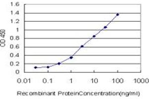 Detection limit for recombinant GST tagged B4GALNT1 is approximately 0.