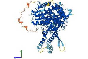 AlphaFold protein structure predicition of Human Recombinant STXBP1 Protein, UniprotID P61764 (STXBP1 Protein (AA 1-594) (His tag))