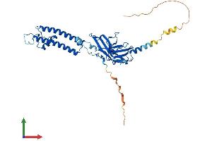 AlphaFold protein structure predicition of Mouse Recombinant Kcnj9 Protein, UniprotID P48543