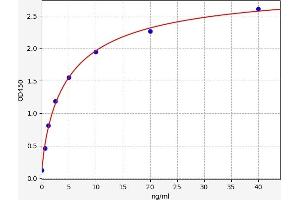 Typical standard curve (CYP3A2 ELISA Kit)