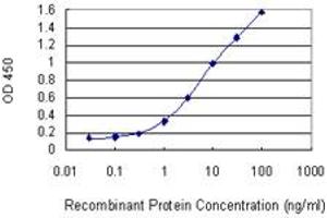 Detection limit for recombinant GST tagged EGR2 is 0. (EGR2 antibody  (AA 217-293))