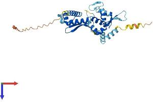 AlphaFold protein structure predicition of Human Recombinant MAGEB5 Protein, UniprotID Q9BZ81 (MAGEB5 Protein (AA 1-275) (His tag))