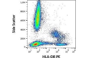 Flow cytometry surface staining pattern of human peripheral whole blood stained using anti-human HLA-DR (L243) PE antibody (10 μL reagent / 100 μL of peripheral whole blood).