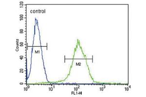 Flow Cytometry (FACS) image for anti-Complement Factor H-Related 5 (CFHR5) antibody (ABIN3002413) (CFHR5 antibody)