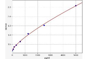 Typical standard curve (IL12RB1 ELISA Kit)