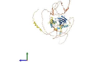 AlphaFold protein structure predicition of Human Recombinant LSR Protein, UniprotID Q86X29 (LSR Protein (AA 1-649) (His tag))