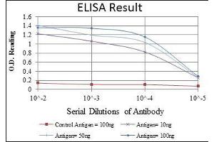 Red: Control Antigen (100 ng), Purple: Antigen (10 ng), Green: Antigen (50 ng), Blue: Antigen (100 ng), (HFE antibody)