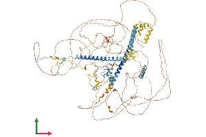 AlphaFold protein structure predicition of Human Recombinant KANSL1 Protein, UniprotID Q7Z3B3 (KANSL1 Protein (AA 1-1105) (His tag))