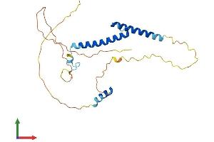 AlphaFold protein structure predicition of Mouse Recombinant Myf5 Protein, UniprotID P24699 (MYF5 Protein (AA 1-255) (His tag))