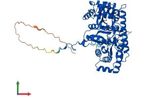AlphaFold protein structure predicition of Mouse Recombinant Gpt2 Protein, UniprotID Q8BGT5 (GPT2 Protein (AA 1-522) (His tag))