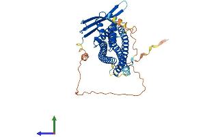Protein Structure (PS) image for Sorting Nexin Family Member 30 (SNX30) (AA 1-437) protein (His tag) (ABIN7546256)