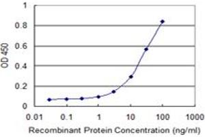 Detection limit for recombinant GST tagged ZNF483 is 1 ng/ml as a capture antibody. (ZNF483 antibody  (AA 142-230))