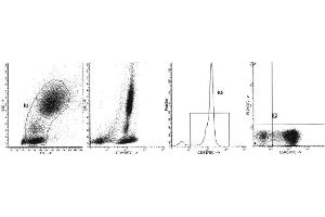 Image no. 1 for anti-Sialophorin (SPN) antibody (FITC) (ABIN1106375) (CD43 antibody  (FITC))