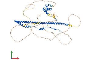 AlphaFold protein structure predicition of Human Recombinant SPATS2 Protein, UniprotID Q86XZ4 (SPATS2 Protein (AA 1-545) (His tag))