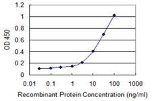Detection limit for recombinant GST tagged CD1B is 0. (CD1b antibody  (AA 19-110))