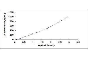 Cardiotrophin 1 ELISA Kit