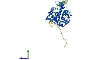 AlphaFold protein structure predicition of Mouse Recombinant St3gal5 Protein, UniprotID O88829 (ST3GAL5 Protein (AA 1-414) (His tag))