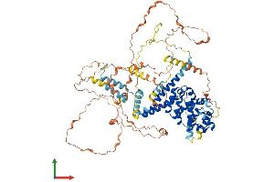 AlphaFold protein structure predicition of Mouse Recombinant Patl1 Protein, UniprotID Q3TC46