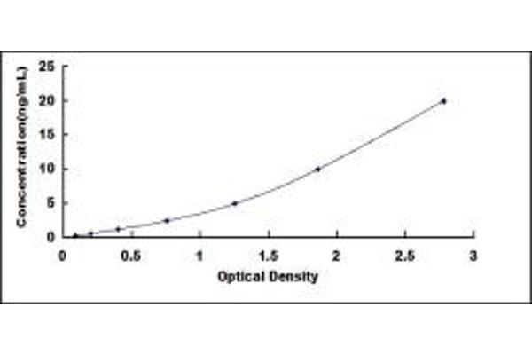 FOXQ1 ELISA Kit