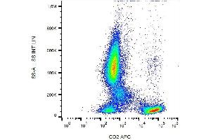 Surface staining of human peripheral blood cells with anti-human CD2 (LT2) APC. (CD2 antibody  (APC))