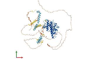AlphaFold protein structure predicition of Mouse Recombinant Add1 Protein, UniprotID Q9QYC0