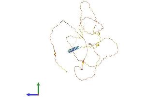 AlphaFold protein structure predicition of Mouse Recombinant Lax1 Protein, UniprotID Q8BHB3 (LAX1 Protein (AA 1-407) (His tag))