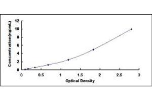 COL11A2 ELISA Kit