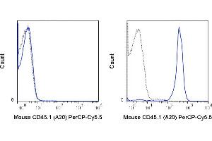 C57Bl/6 (left panel) or SJL (right panel) splenocytes were stained with 0. (CD45.1 antibody  (PerCP-Cy5.5))