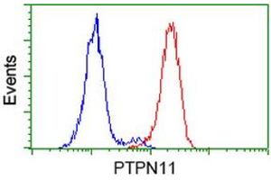Flow cytometric Analysis of Hela cells, using anti-PTPN11 antibody (ABIN2453869), (Red), compared to a nonspecific negative control antibody, (Blue). (PTPN11 antibody)